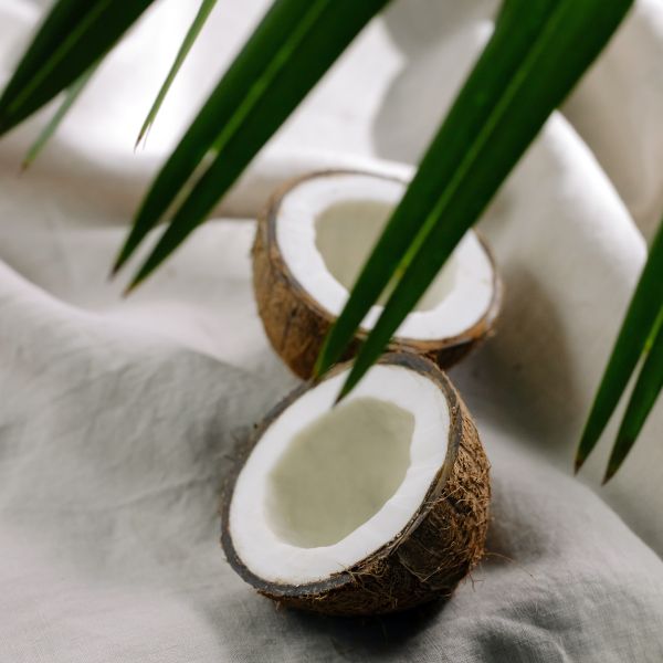 Bamboo and Coconut