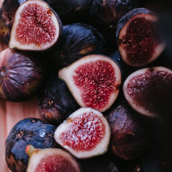 Harvest Fig