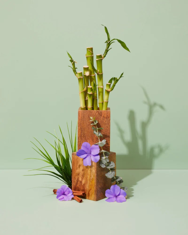 Green Bamboo & Wild Violet